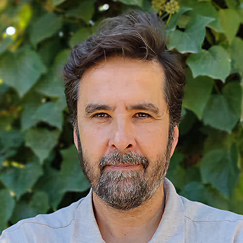 Terapeuta Gestalt y Transpersonal