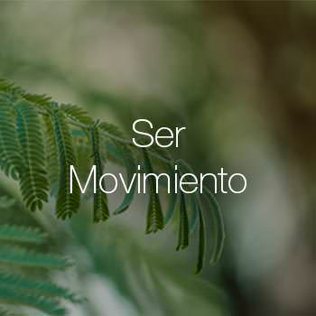 Ser Movimiento en Sevilla