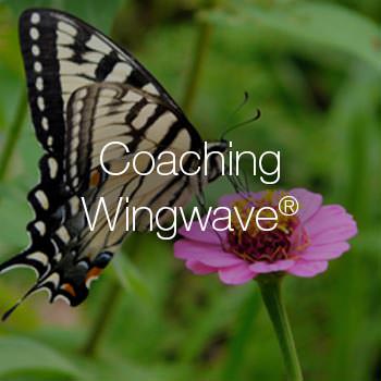 Coaching Wingwave® en Sevilla