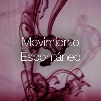 Movimiento Espontáneo en Sevilla