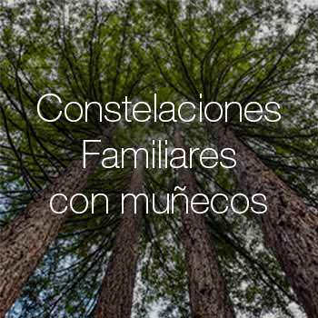 Constelaciones Familiares en Sevilla